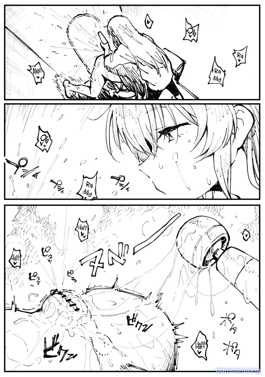 Cáo và Hoshi 
