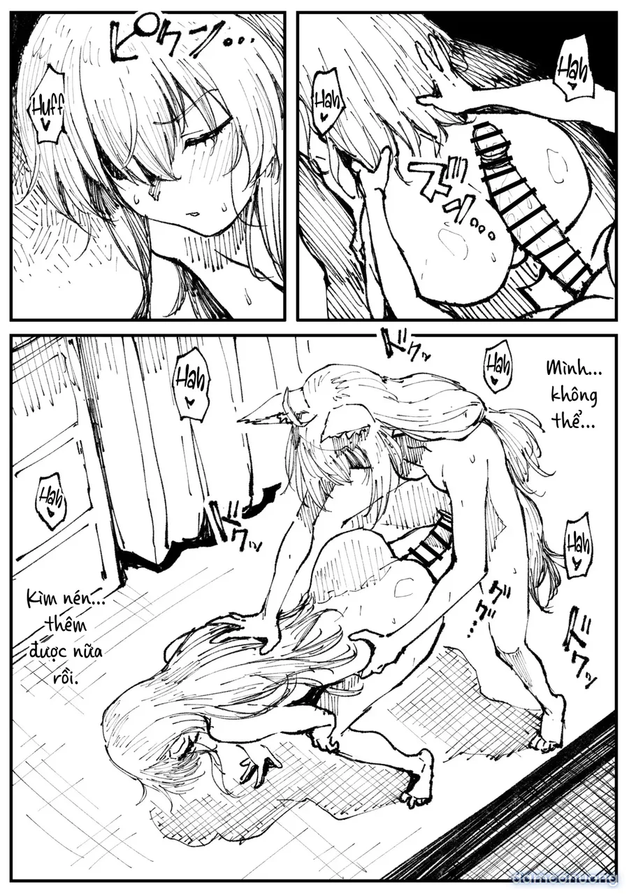 Cáo và Hoshi 