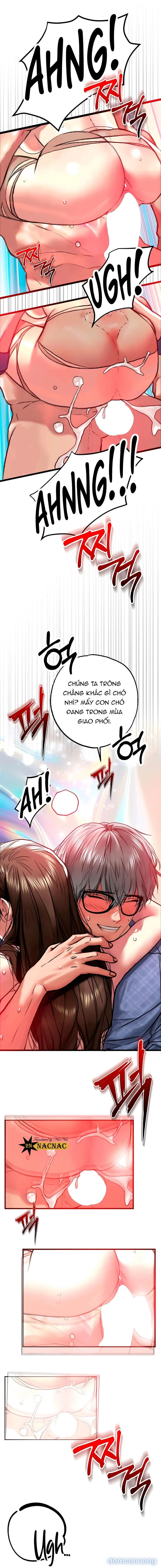 Biến Thái Săn Biến Thái 