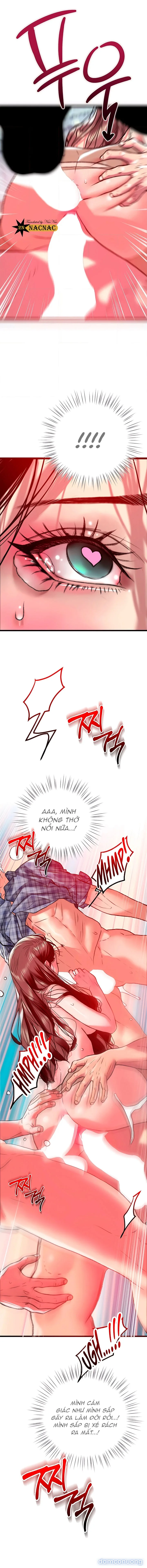 Biến Thái Săn Biến Thái 