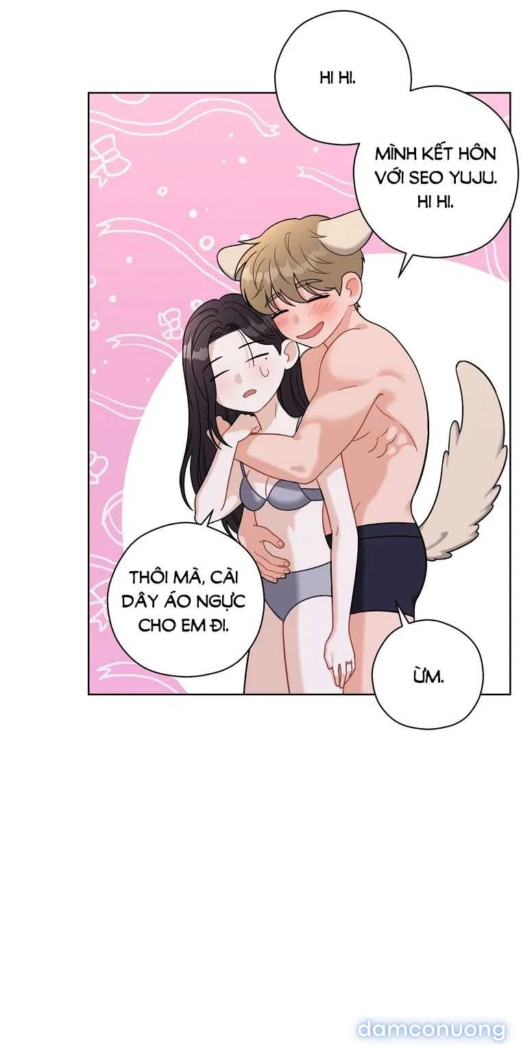 Ngọn gió mùa xuân 