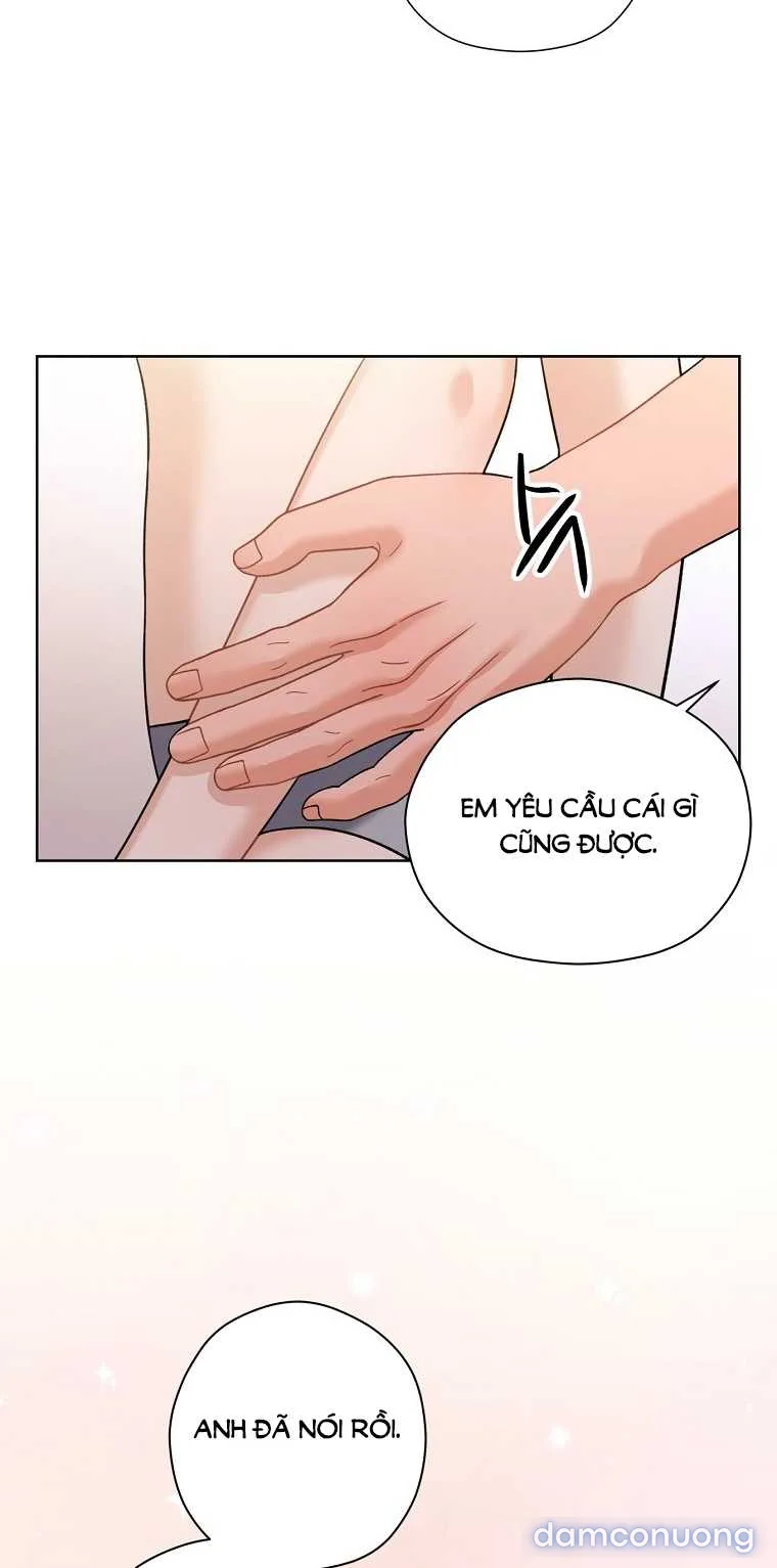 Ngọn gió mùa xuân 