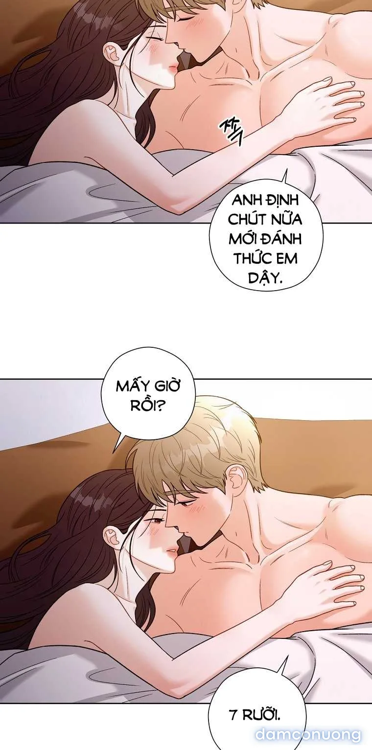 Ngọn gió mùa xuân 