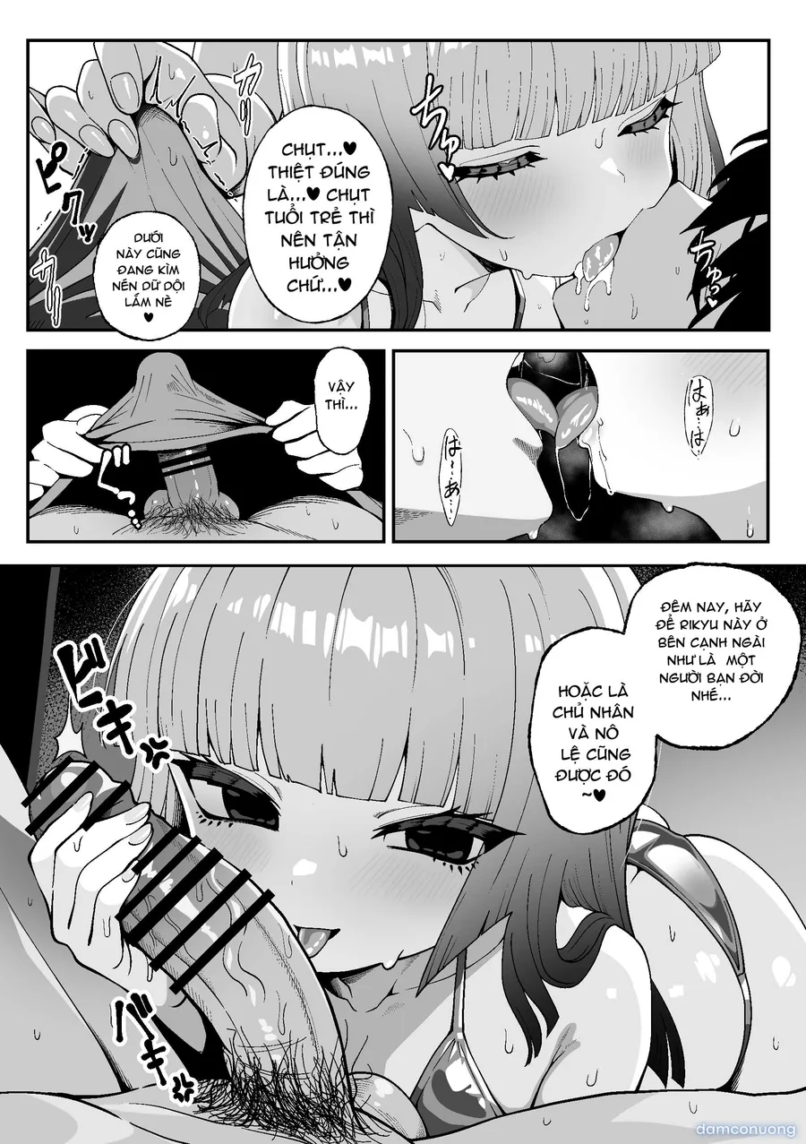 Rikyu Hard 