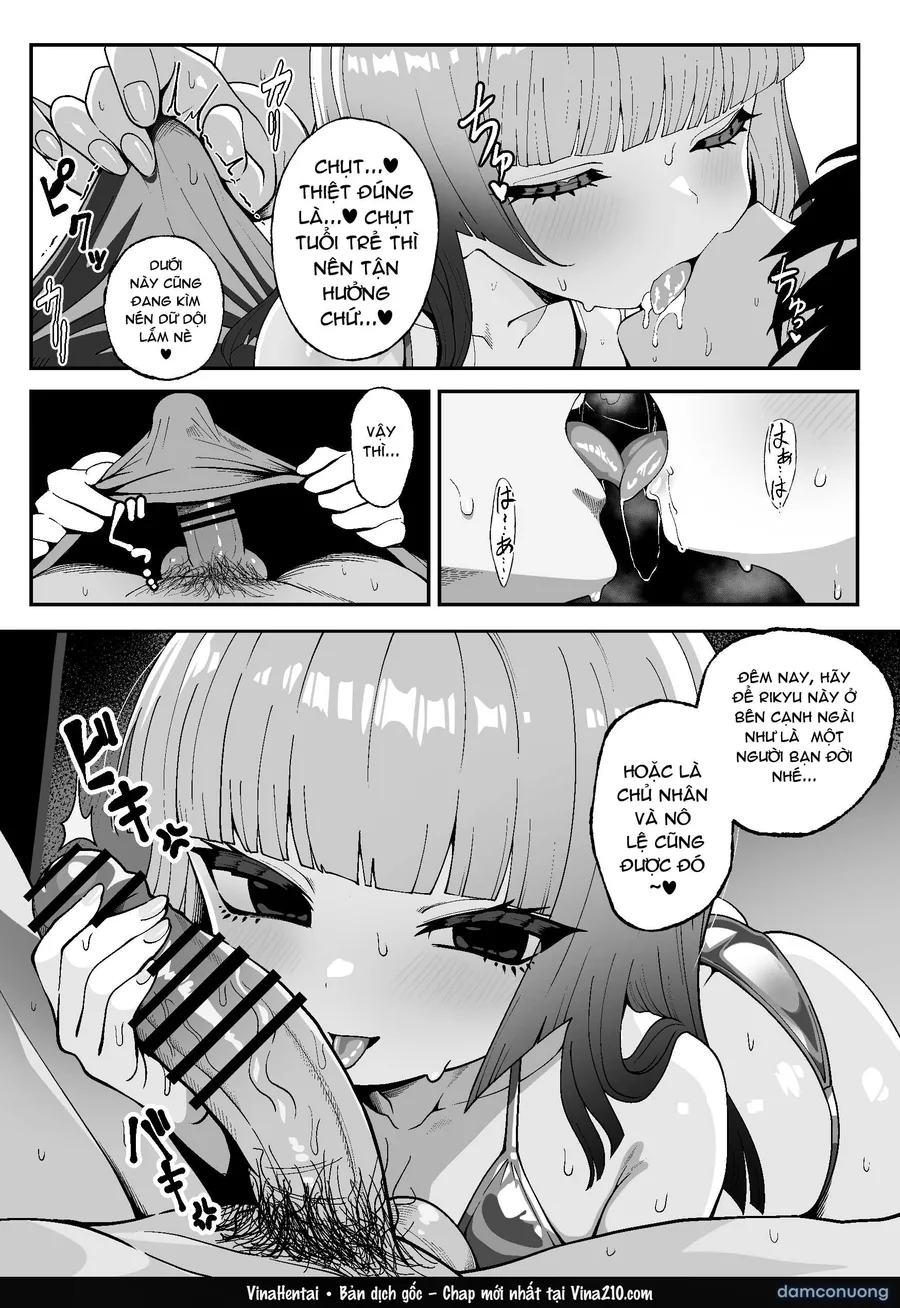 Rikyu Hard 