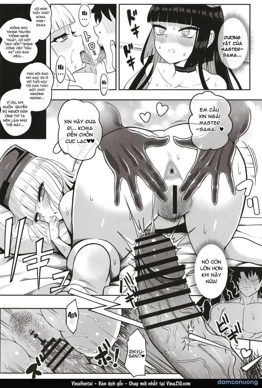 Rikyu Hard 