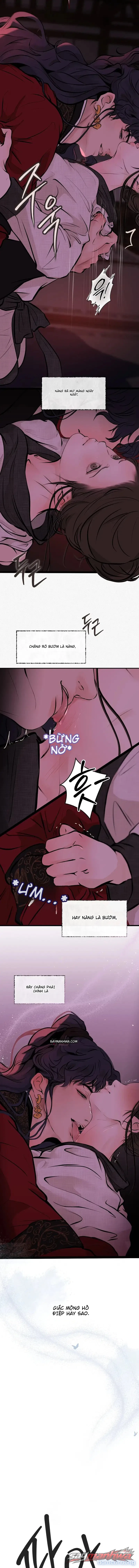 Bức Thư Vẽ Trong Đêm 