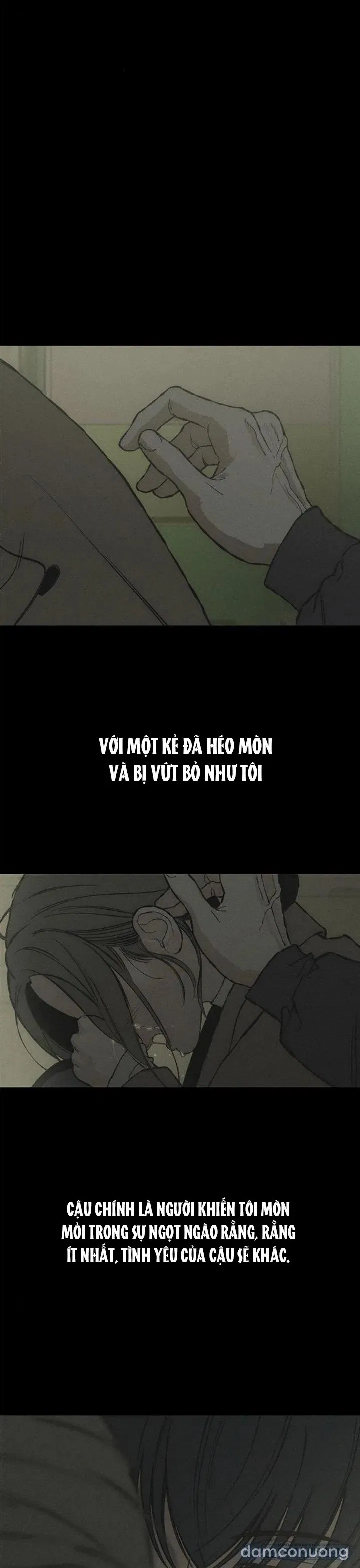 〚18+〛Lệ Vương Trên Cánh Hoa Tàn 