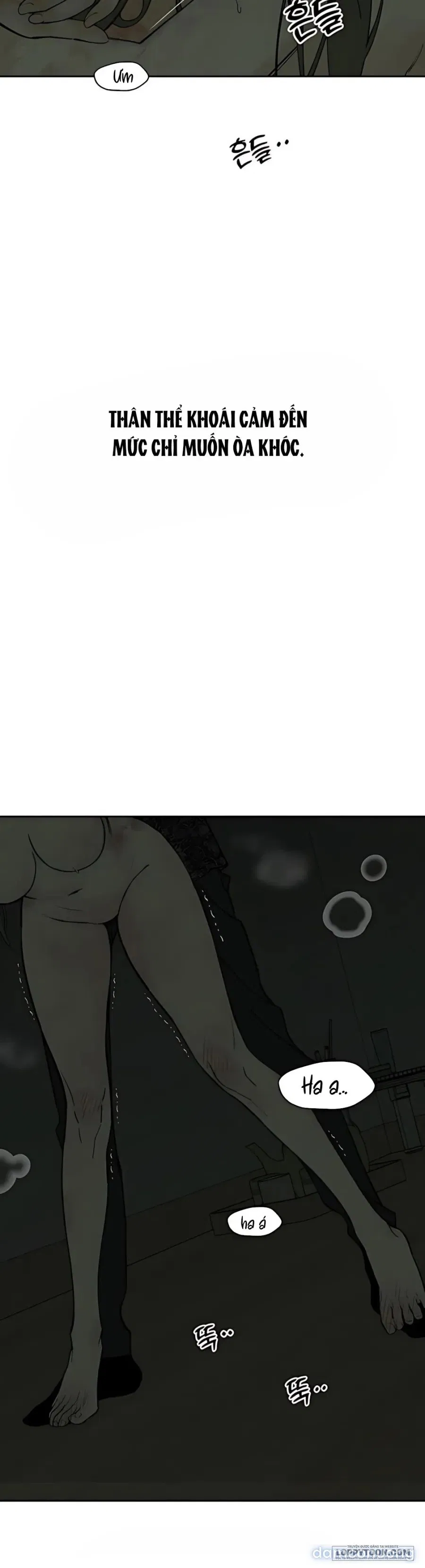 〚18+〛Lệ Vương Trên Cánh Hoa Tàn 
