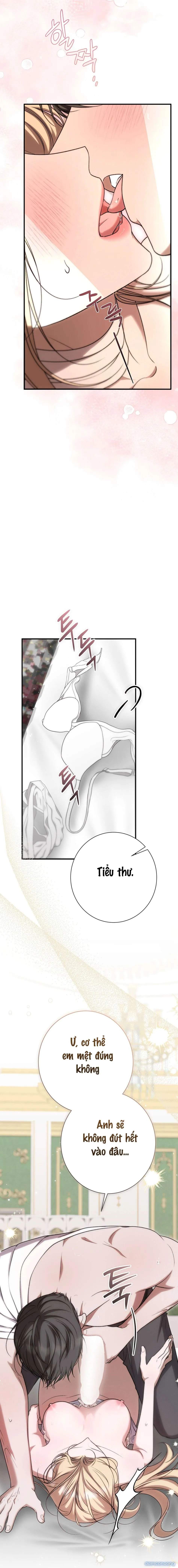 〖18+〗- Cô Tiểu Thư Quá Đỗi Tò Mò 