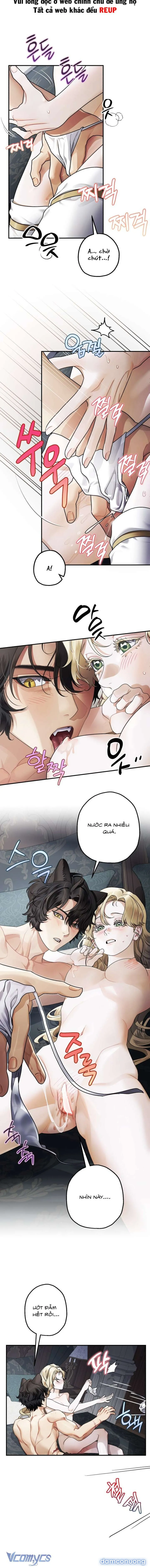 [18+] Quái Thú Của Dinh Thự Albard 