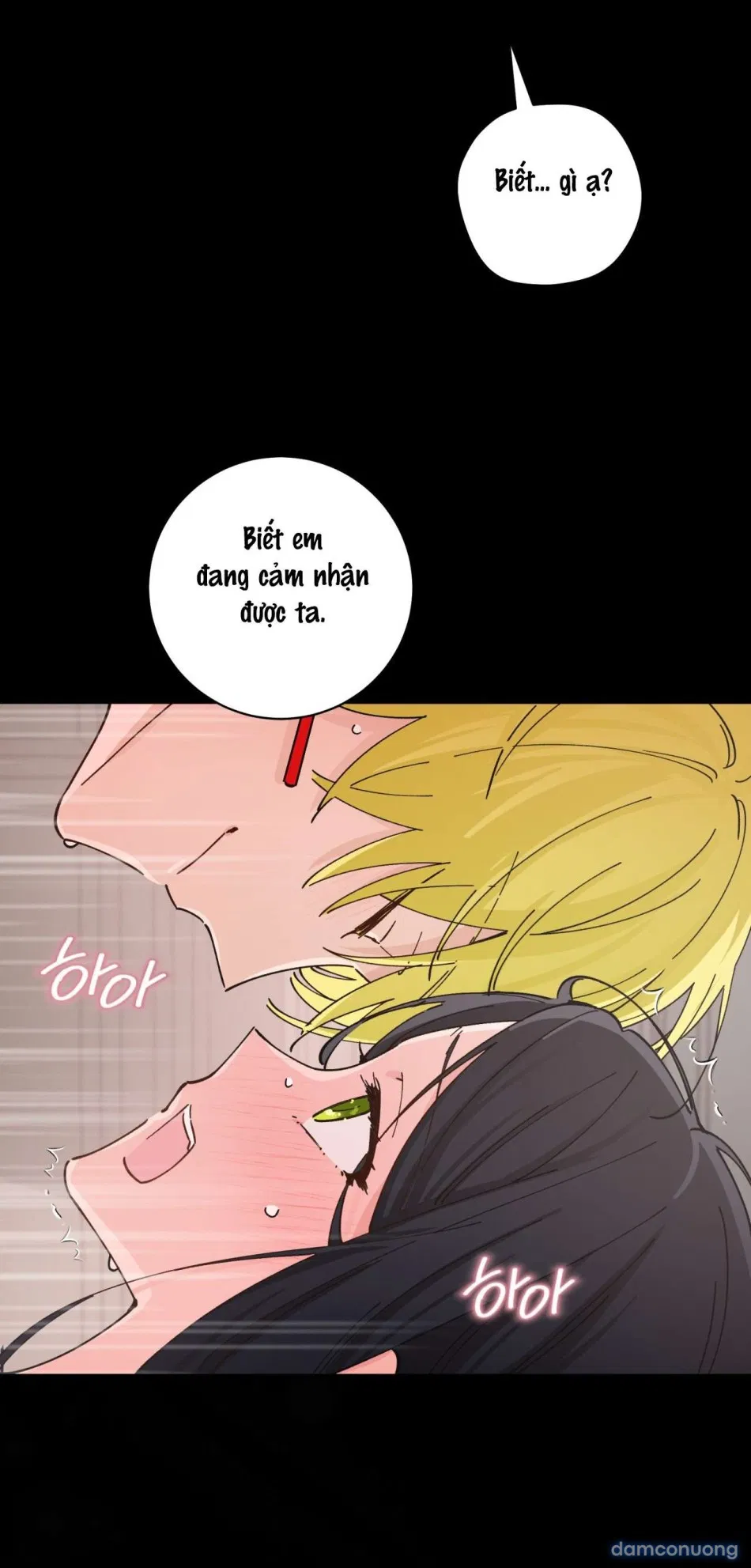 〖18+〗- Tiểu Thư Nuốt Phù Thủy 