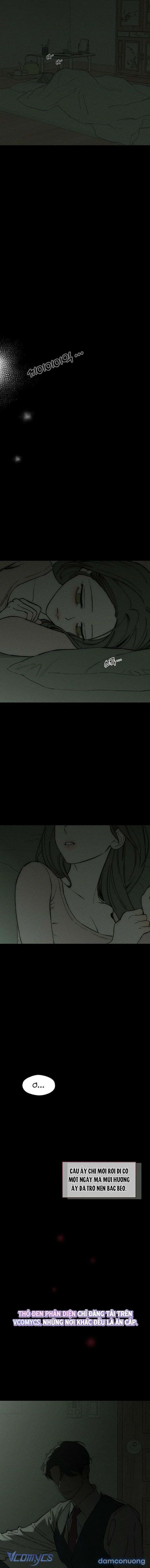 『18+』Lệ Vương Trên Cánh Hoa Tàn 