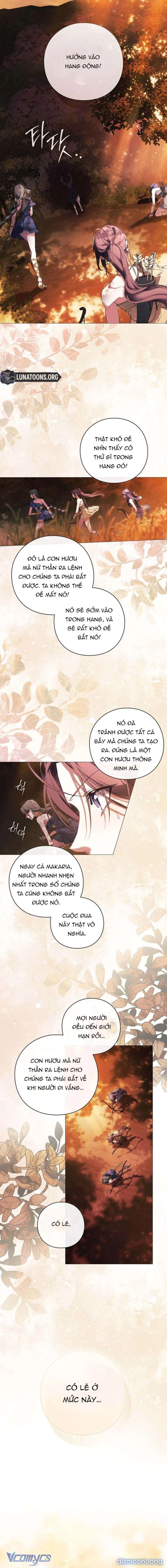 Dành Cho Nữ Thần: Dành Cho Daphne 