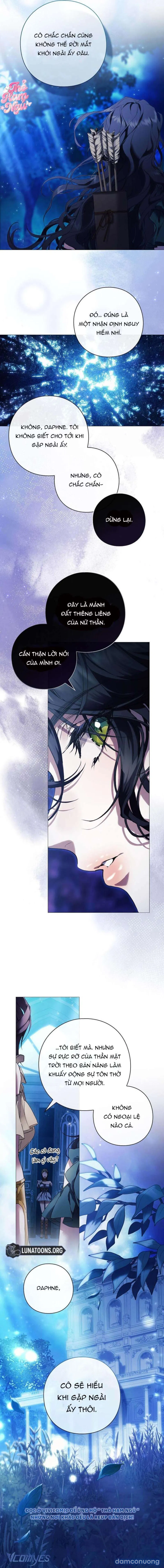 Dành Cho Nữ Thần: Dành Cho Daphne 