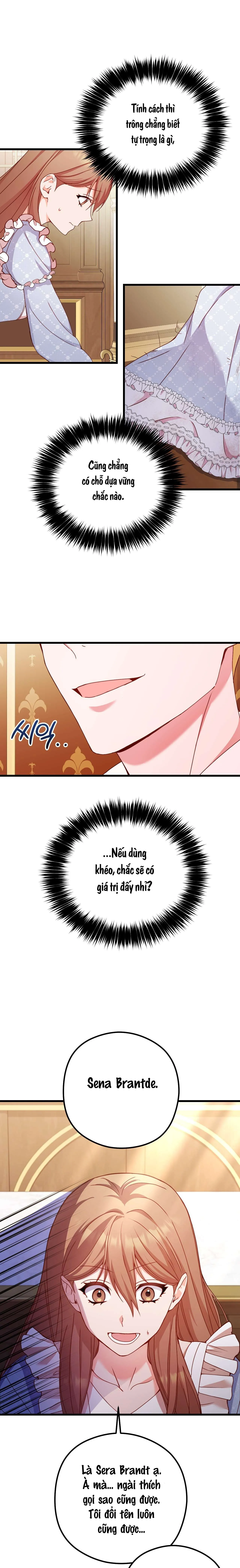 Hoàng Tử Hạng Nhất 