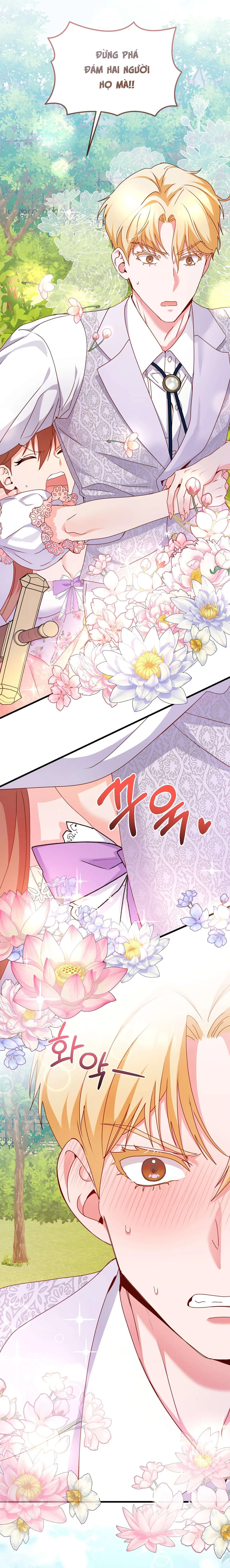 Hoàng Tử Hạng Nhất 