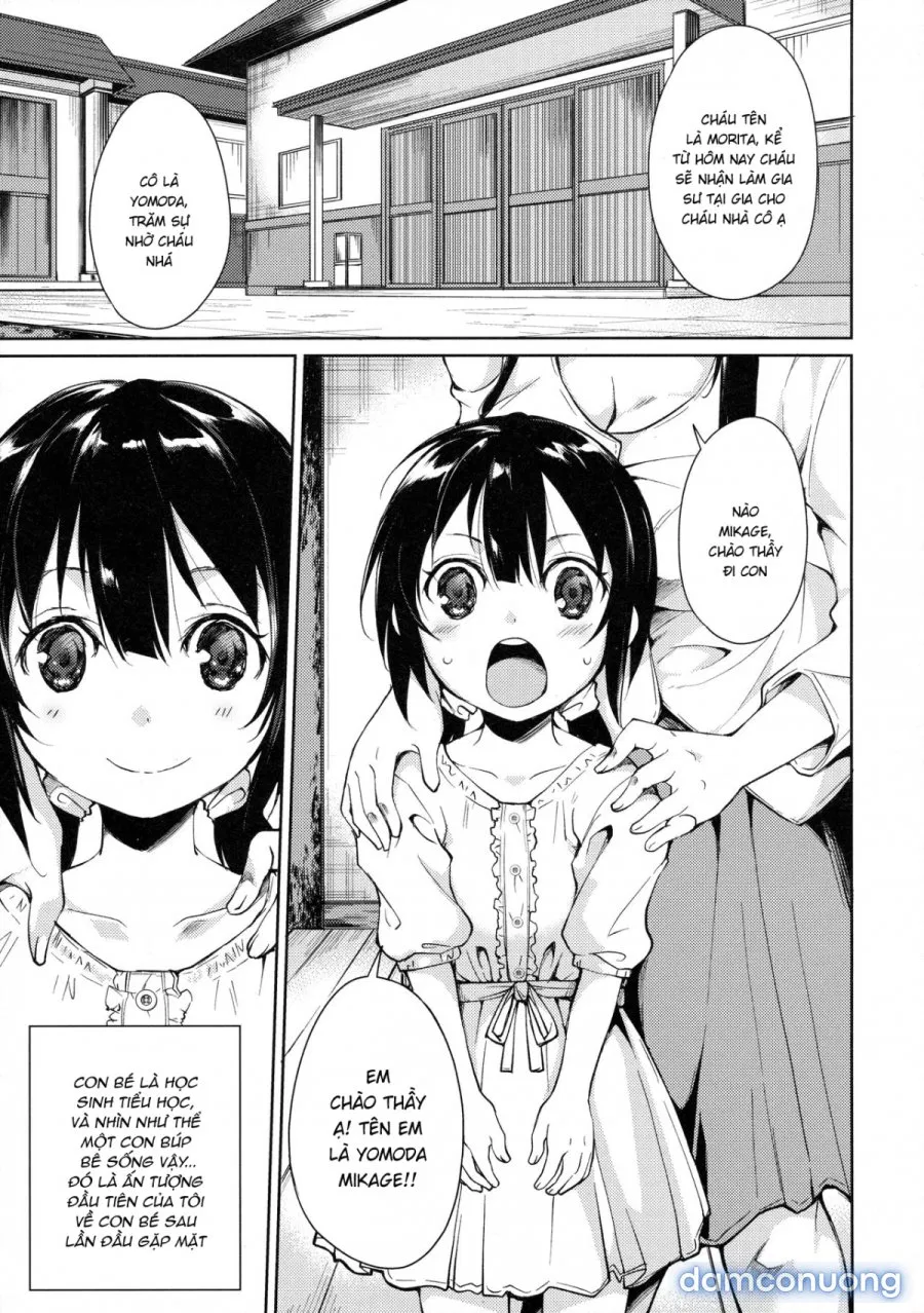 Shoujo M̶ 