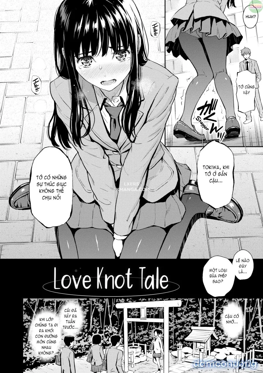 Courting Etranger 