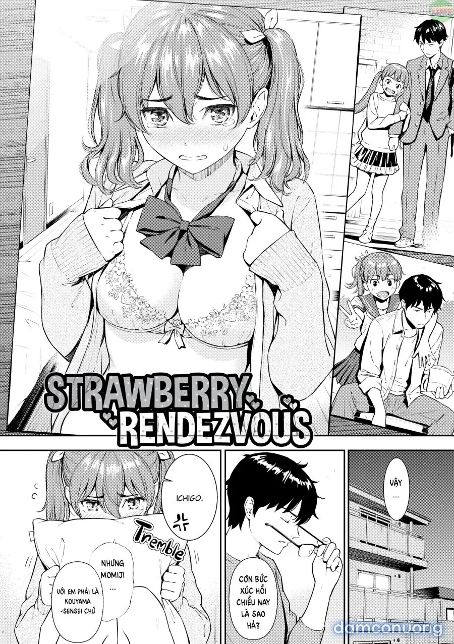 Courting Etranger 