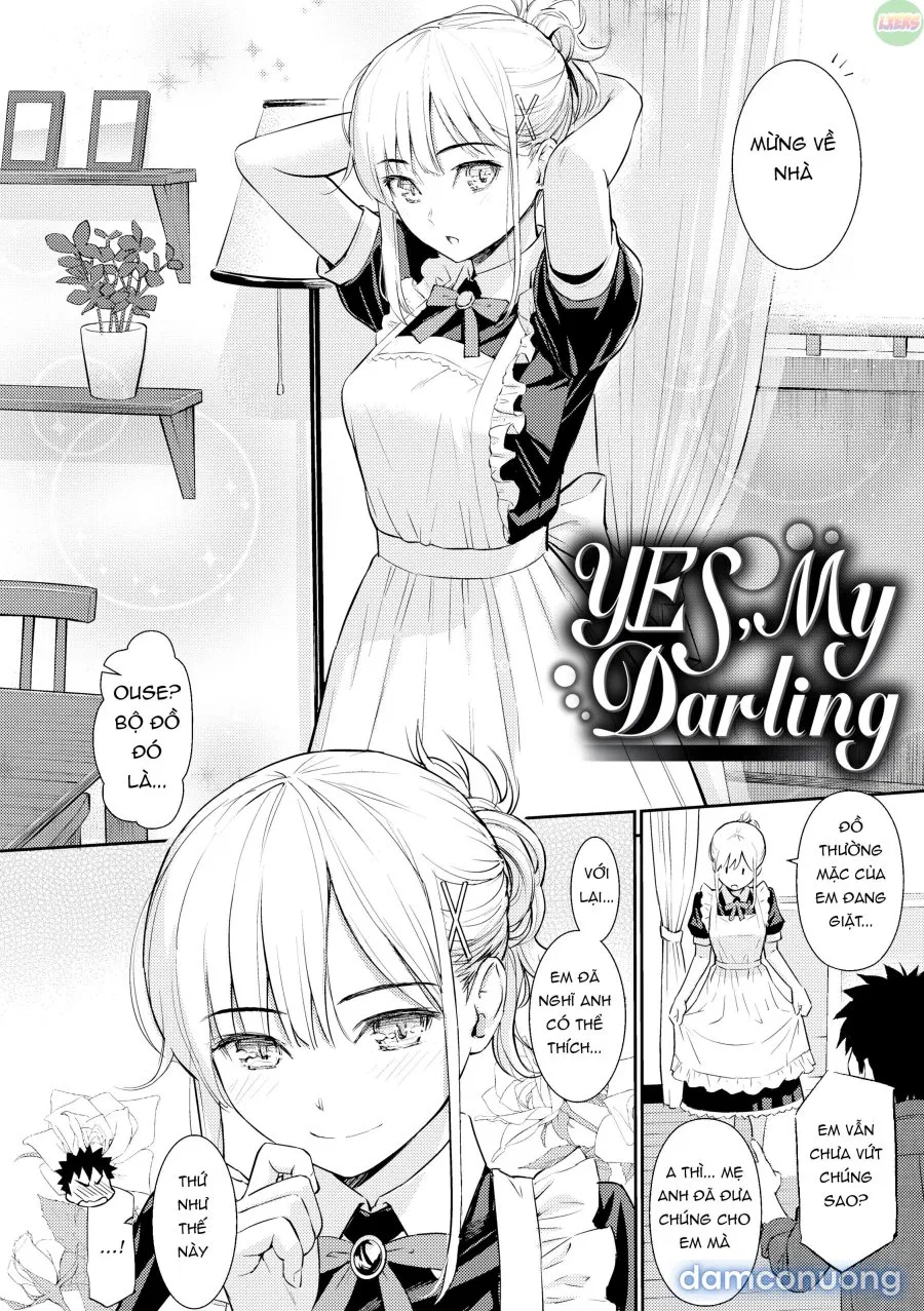 Courting Etranger 