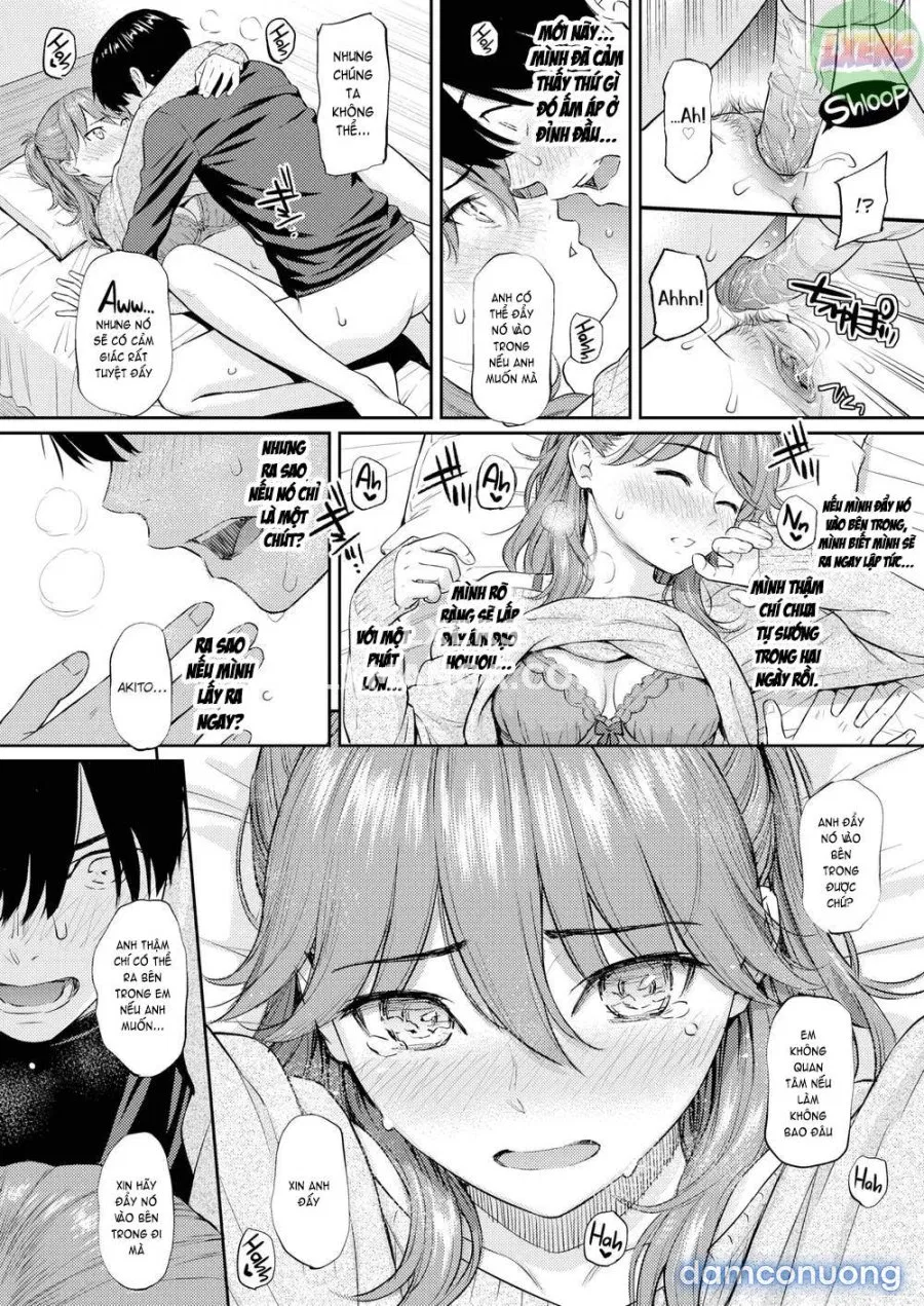 Courting Etranger 