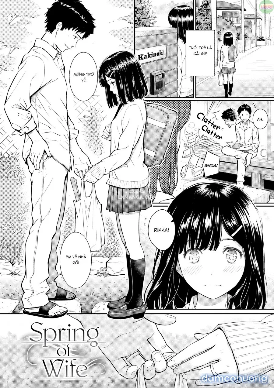 Courting Etranger 