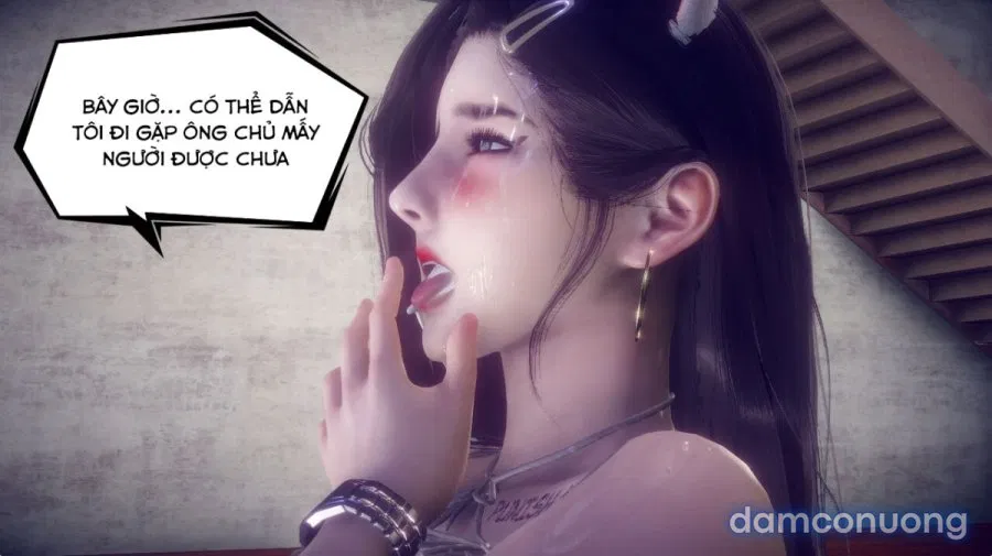 Tiểu Sử Của Trần Kiều An 