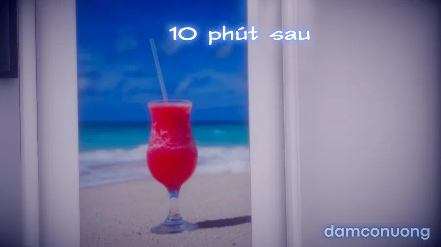 Tiểu Sử Của Trần Kiều An 