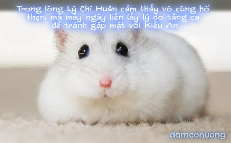 Tiểu Sử Của Trần Kiều An 
