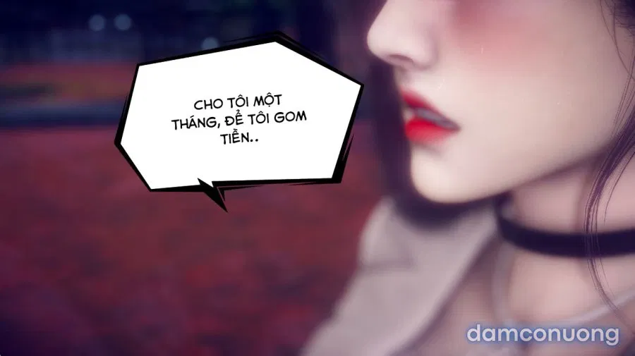 Tiểu Sử Của Trần Kiều An 