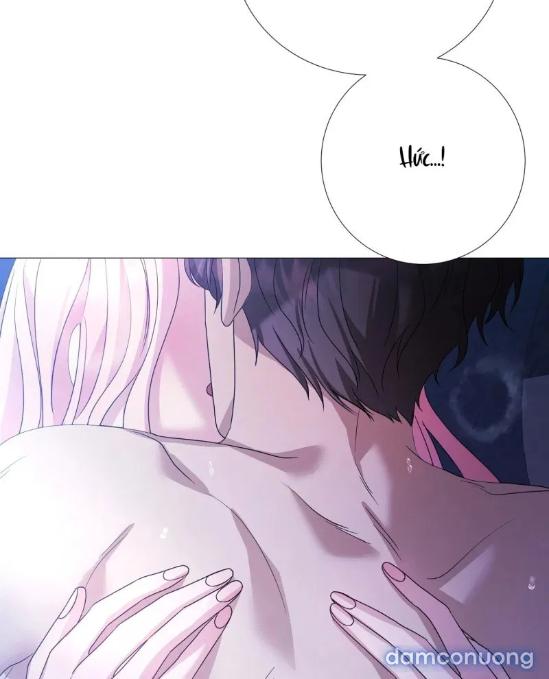 [18+] Lâu Đài Hoang Dại 