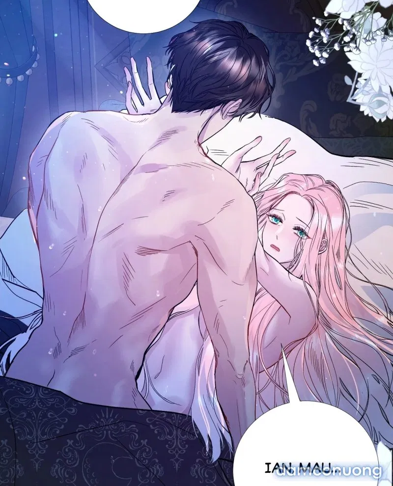 [18+] Lâu Đài Hoang Dại 