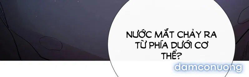 [18+] Lâu Đài Hoang Dại 
