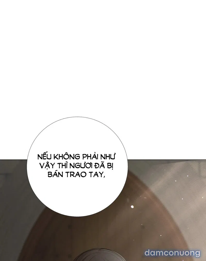 [18+] Lâu Đài Hoang Dại 