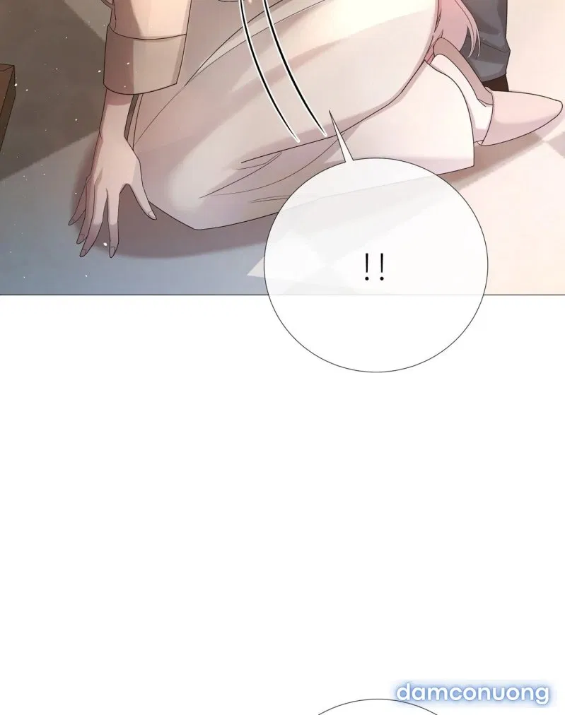 [18+] Lâu Đài Hoang Dại 