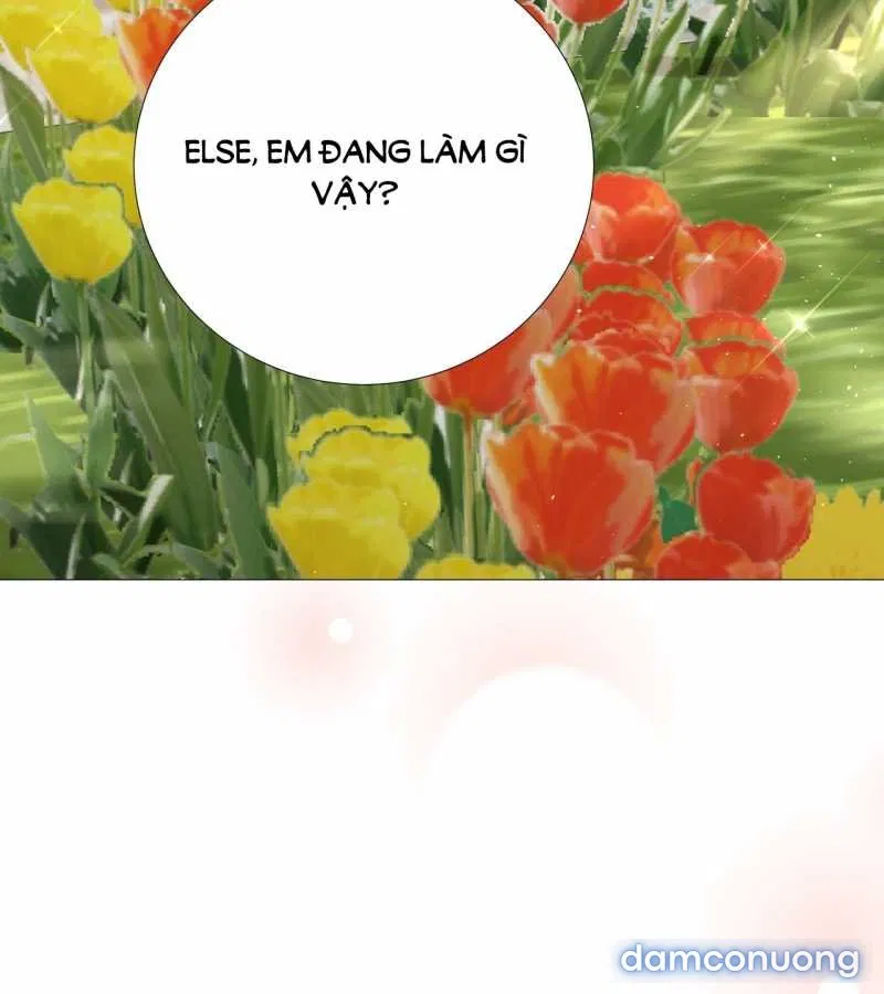 [18+] Lâu Đài Hoang Dại 
