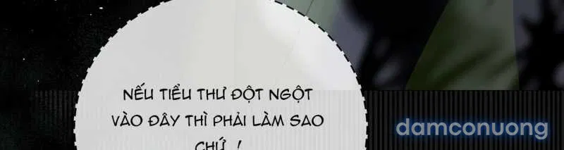 [18+] Lâu Đài Hoang Dại 