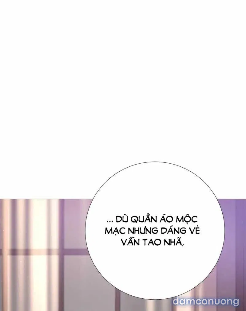 [18+] Lâu Đài Hoang Dại 