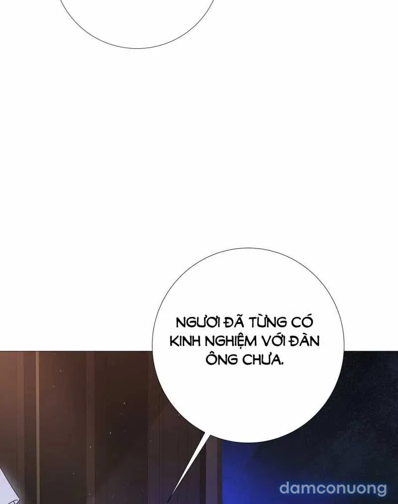 [18+] Lâu Đài Hoang Dại 