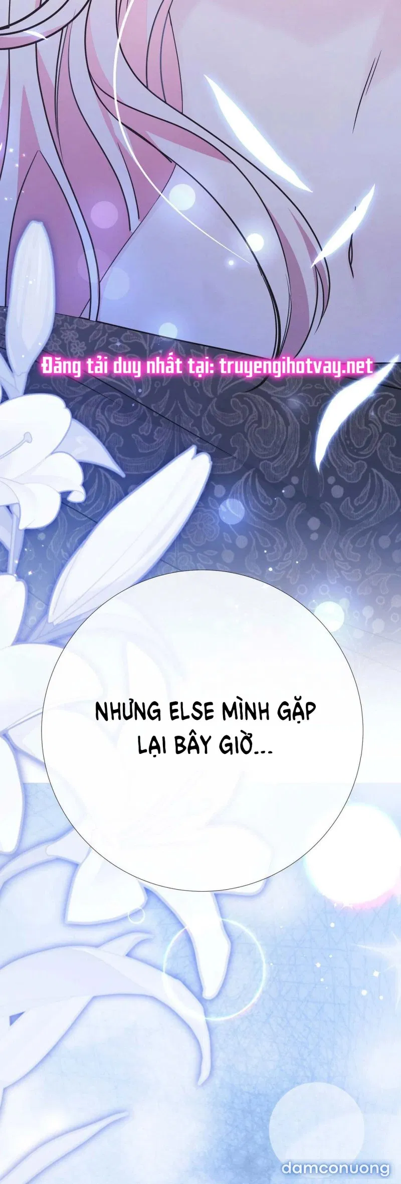 [18+] Lâu Đài Hoang Dại 