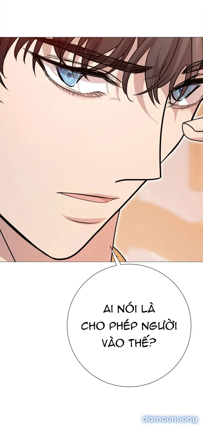 [18+] Lâu Đài Hoang Dại 