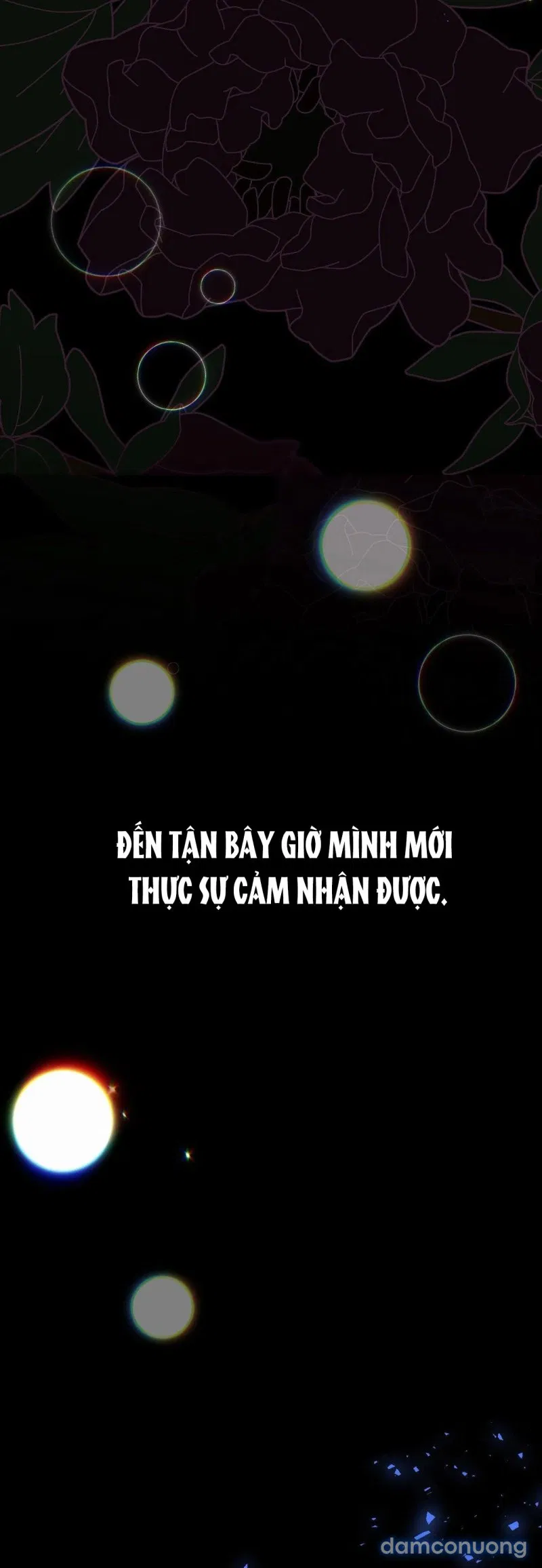 [18+] Lâu Đài Hoang Dại 