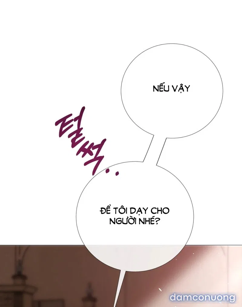 [18+] Lâu Đài Hoang Dại 