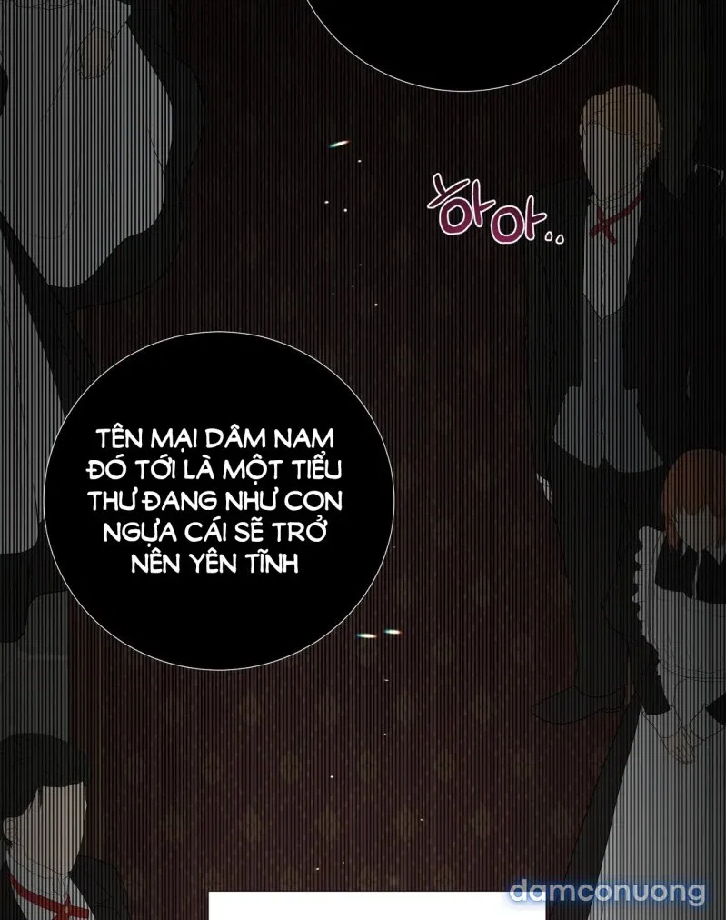 [18+] Lâu Đài Hoang Dại 