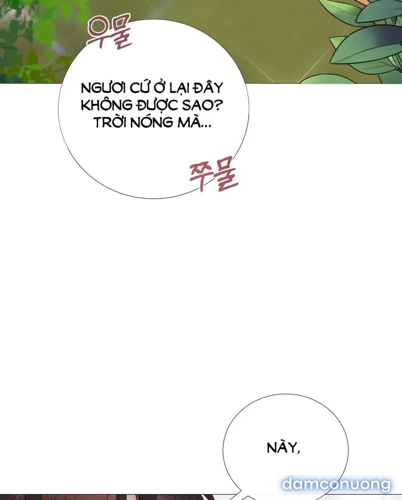 [18+] Lâu Đài Hoang Dại 