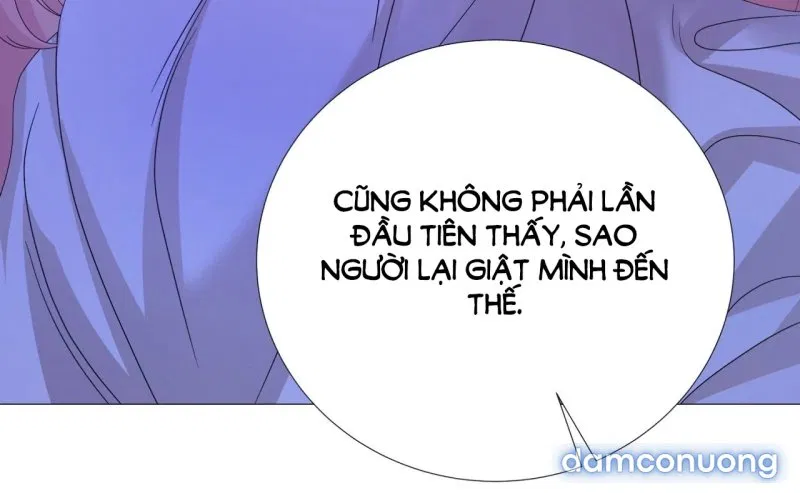 [18+] Lâu Đài Hoang Dại 