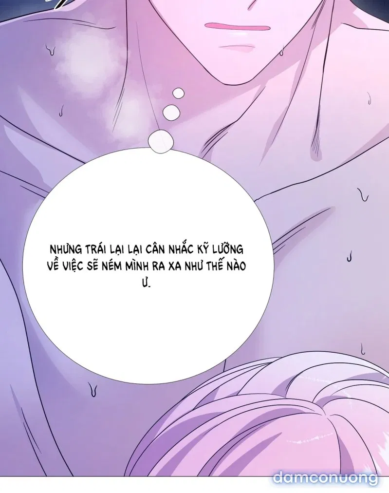 [18+] Lâu Đài Hoang Dại 