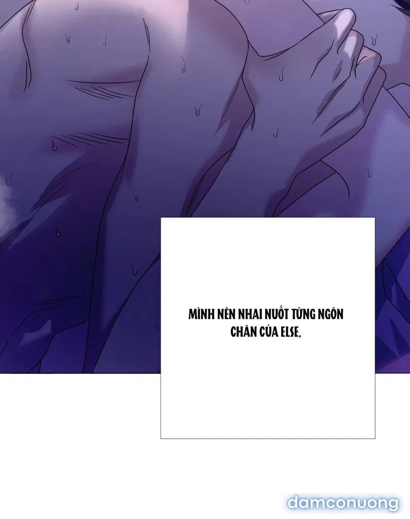 [18+] Lâu Đài Hoang Dại 