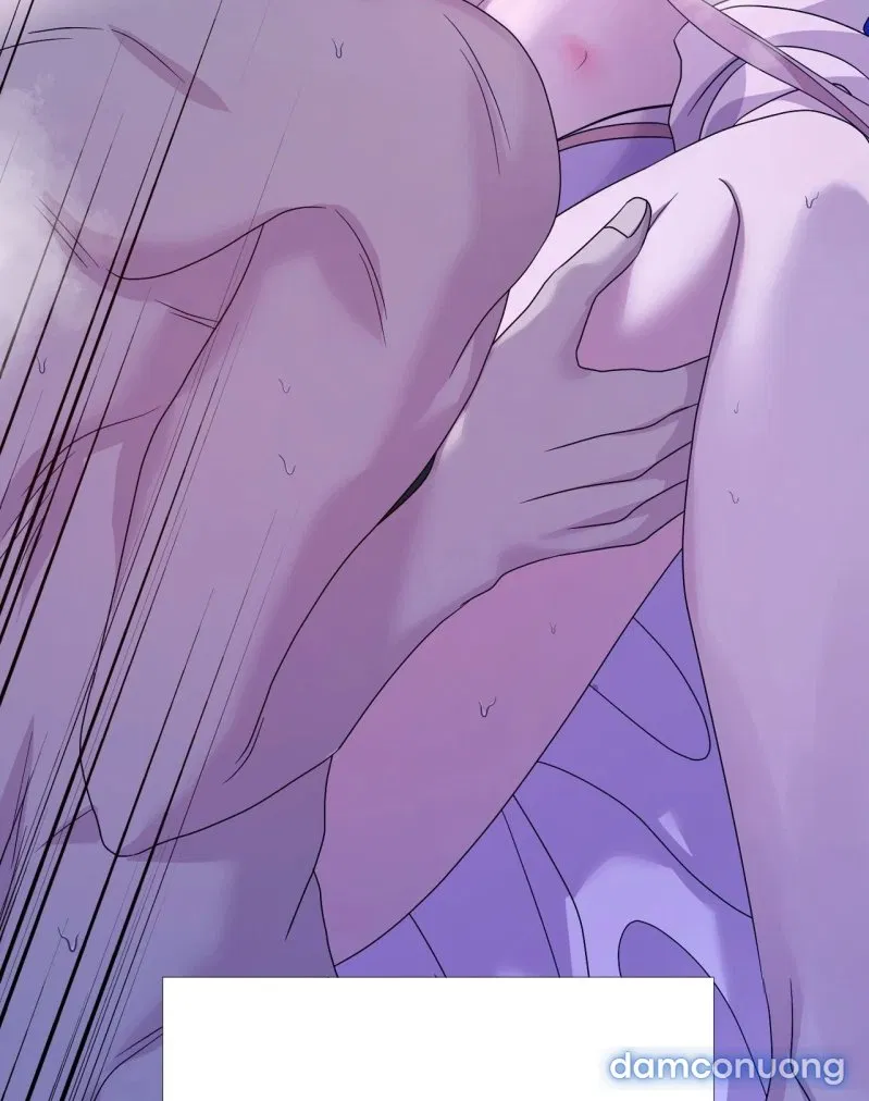 [18+] Lâu Đài Hoang Dại 